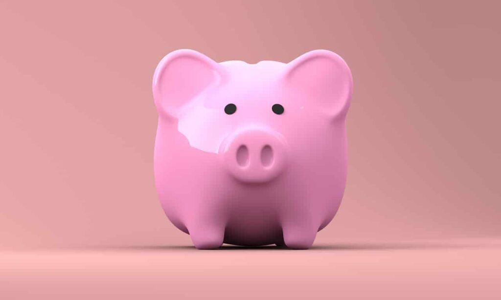 A pink piggy bank.